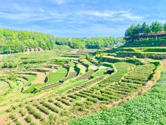 -乌石村