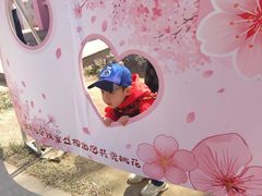 -桃花堤公园