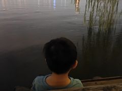 -西湖外事游船(花港观鱼码头)