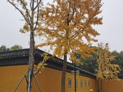 -西园戒幢律寺