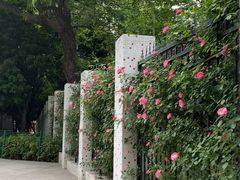 -黄浦路(地铁站)