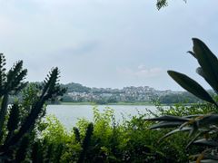 -白云湖畔酒店-湖畔餐厅