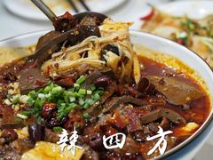 -辣四方新派川菜
