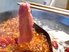 -阳阳老火锅(小南门店)