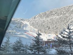 -太子岭滑雪场