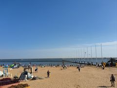 -碧海金沙
