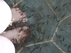-汤乐汇•足道•SPA生活馆