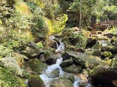 -赤水丹霞旅游区·佛光岩