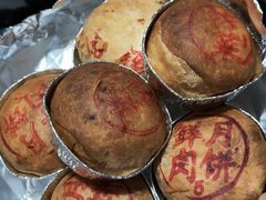 鲜肉月饼-泰康食品(南京东路店)