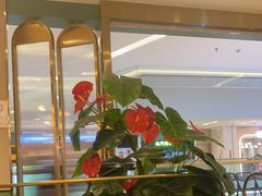 -清晖小苑•顺德地方菜(壹海城店)