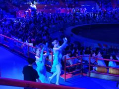 -俄罗斯国家大马戏团