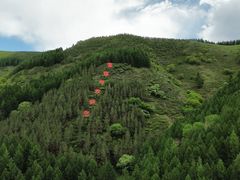 -塞罕坝国家级自然保护区