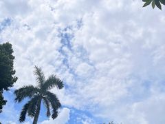 -佛山市祖庙博物馆