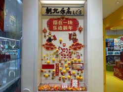 -乐高授权专卖店(朝阳大悦城店)