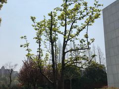 -宋庆龄陵园