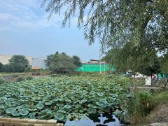 -元鼎宝驴香·全驴宴(江宁店)