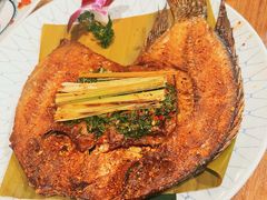 -紫滇源云南生态菜(丹凤街店)