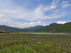 -腾冲北海湿地