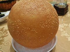 麻球-乡村大苑(嘉定店)