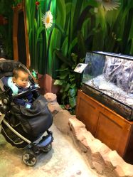 -酷嗒动物文化乐园(cutezoo西溪乐天城店)