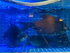 -姜君·千岛湖鱼头馆(浦东大道店)