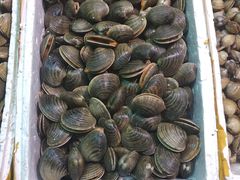 -王四营海鲜市场