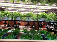 大堂-猫爪爪原切自助烤肉(观音桥阳光世纪店)