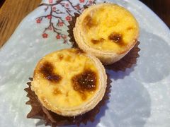 蛋挞-十六蒲(桂林路店)