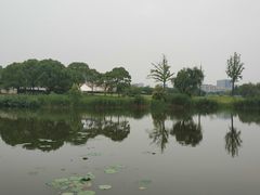 -新江湾城公园