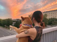 -FAELING PETS美天灵宠物(富力广场店)