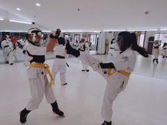 -极真空手道修远道场