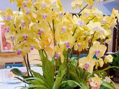 -杭州香格里拉·香宫中餐厅