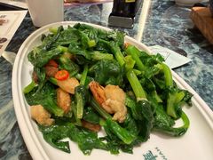 -翠华(澳门银河店)