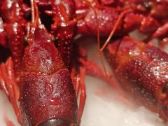 -红盔甲·小龙虾(车公庙店)