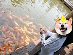 -枫香湖儿童公园