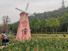-顺峰山公园