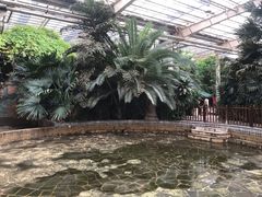 -龙达温泉生态城