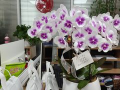 -东来顺•非遗火锅(外滩店)