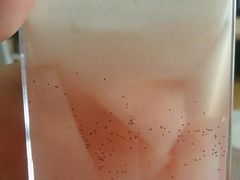 -樱花糕坊(凯德广场店)