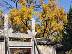 -苏州文庙(姑苏区)
