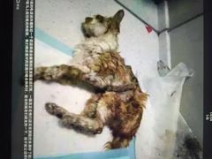 盛京一禾-盛京一禾