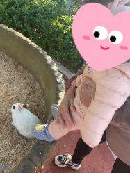 -造物庄园 萌宠纪(苏州湾歌林公园店)