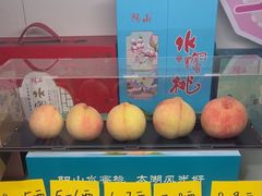 -老袁家蜜桃农场·阳山水蜜桃