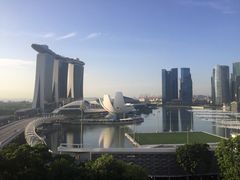 -新加坡丽思卡尔顿美年酒店