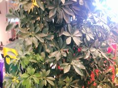 -老胖串店(浆水泉路店)
