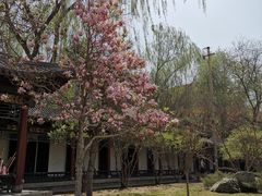 -碑林公园