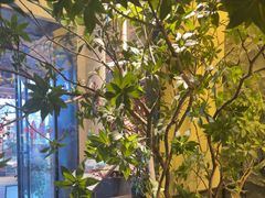 -杏花村水席楼·洛阳水席(老城十字街店)