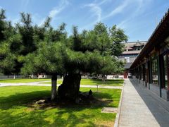 -护国法轮寺