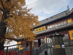 -上海青龙寺