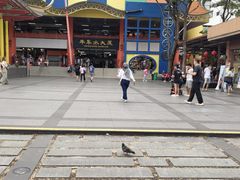 -新加坡佛牙寺龙华院